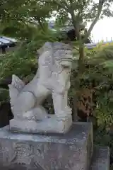 晴明神社の狛犬