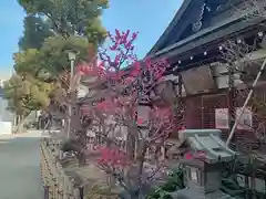 大阪天満宮の自然