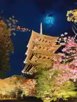 東寺(教王護国寺)の塔