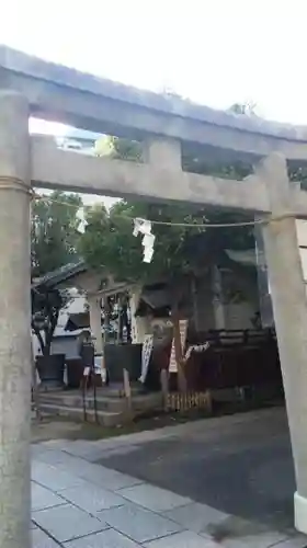 椙森神社の鳥居