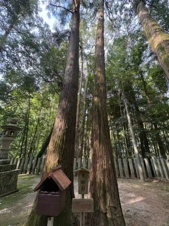 等彌神社の{uncategorized: "未分類", other: "その他", undefined: "問題あり", building: "その他建物", grave: "お墓", sacred_gate: "鳥居", guardian: "狛犬", statue: "像", buddha: "仏像", history: "歴史", nature: "自然", garden: "庭園", animal: "動物", pagoda: "塔", temizu: "手水舎", mountain_gate: "山門・神門", sanctuary: "本殿・本堂", subordinate: "末社・摂社", art: "芸術", scenery: "景色", jizo: "地蔵", ema: "絵馬", goshuin: "御朱印", omikuji: "おみくじ", items: "授与品その他", amulet: "お守り", goshuincho: "御朱印帳", eats: "食事", festival: "お祭り", votive_dance: "神楽", shichigosan: "七五三参", wedding: "結婚式", experience: "体験その他", initially: "初詣", around: "周辺", anti_infection: "感染症対策"}