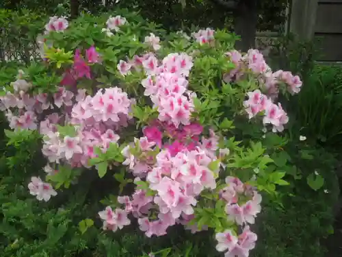 補陀洛寺の自然