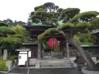 長谷寺の山門・神門