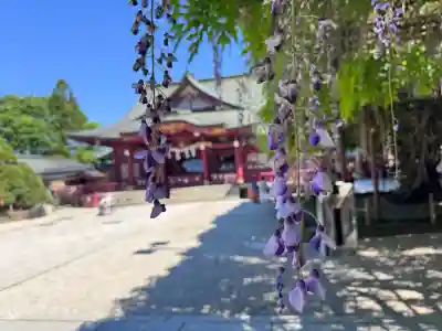 笠間稲荷神社の{uncategorized: "未分類", other: "その他", undefined: "問題あり", building: "その他建物", grave: "お墓", sacred_gate: "鳥居", guardian: "狛犬", statue: "像", buddha: "仏像", history: "歴史", nature: "自然", garden: "庭園", animal: "動物", pagoda: "塔", temizu: "手水舎", mountain_gate: "山門・神門", sanctuary: "本殿・本堂", subordinate: "末社・摂社", art: "芸術", scenery: "景色", jizo: "地蔵", ema: "絵馬", goshuin: "御朱印", omikuji: "おみくじ", items: "授与品その他", amulet: "お守り", goshuincho: "御朱印帳", eats: "食事", festival: "お祭り", votive_dance: "神楽", shichigosan: "七五三参", wedding: "結婚式", experience: "体験その他", initially: "初詣", around: "周辺", anti_infection: "感染症対策"}