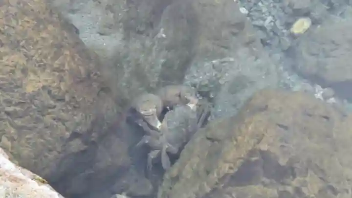 伊勢神宮内宮(皇大神宮)(三重県)