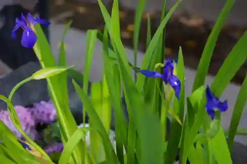 東海市熊野神社の手水舎
