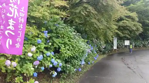 普門寺(岡山県)