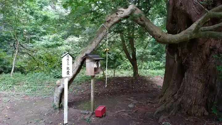 伊佐須美神社のその他建物