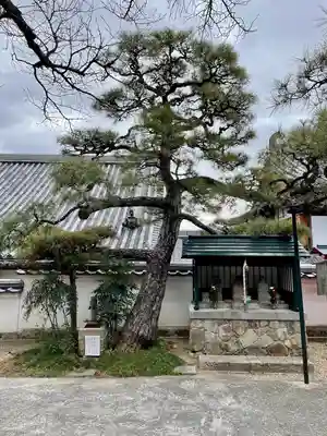 観音院(兵庫県)