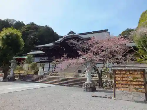 近江神宮の本殿・本堂