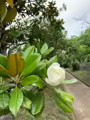 日岡神社の自然