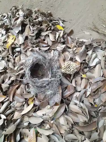 伏木香取神社(茨城県)