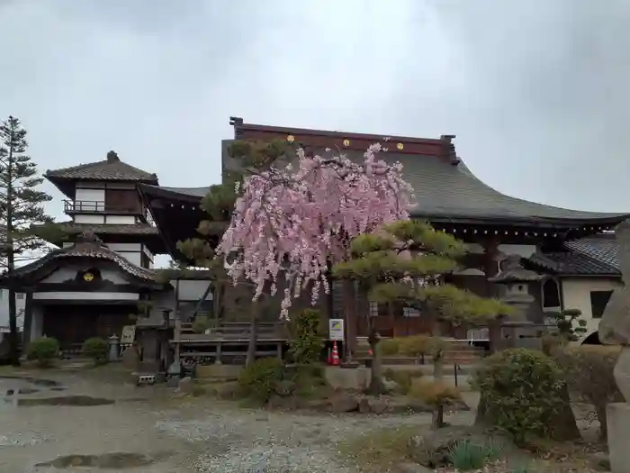 阿弥陀寺の本殿