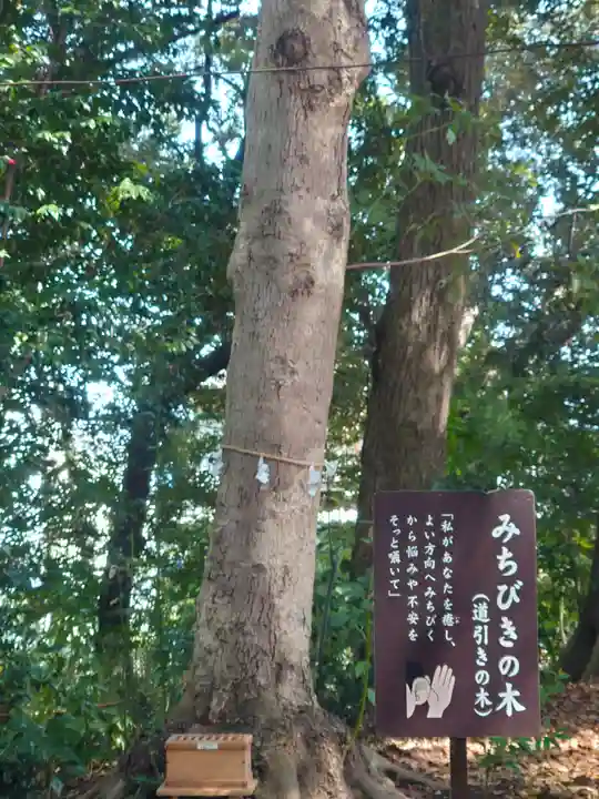 鶴嶺八幡宮(神奈川県)