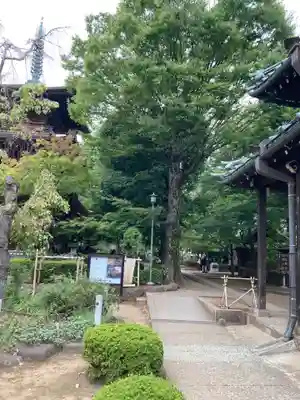 豪徳寺(東京都)
