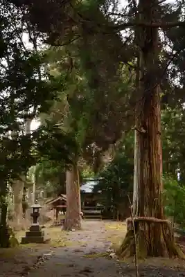 中畑神社(宮崎県)