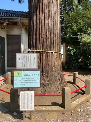 熊野神社の自然