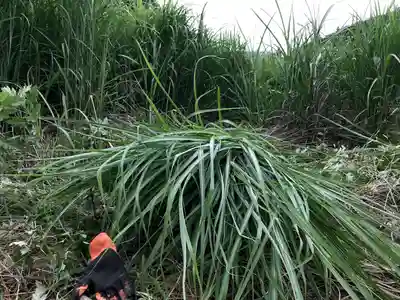 高司神社〜むすびの神の鎮まる社〜(福島県)