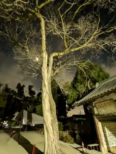 藤森神社の{uncategorized: "未分類", other: "その他", undefined: "問題あり", building: "その他建物", grave: "お墓", sacred_gate: "鳥居", guardian: "狛犬", statue: "像", buddha: "仏像", history: "歴史", nature: "自然", garden: "庭園", animal: "動物", pagoda: "塔", temizu: "手水舎", mountain_gate: "山門・神門", sanctuary: "本殿・本堂", subordinate: "末社・摂社", art: "芸術", scenery: "景色", jizo: "地蔵", ema: "絵馬", goshuin: "御朱印", omikuji: "おみくじ", items: "授与品その他", amulet: "お守り", goshuincho: "御朱印帳", eats: "食事", festival: "お祭り", votive_dance: "神楽", shichigosan: "七五三参", wedding: "結婚式", experience: "体験その他", initially: "初詣", around: "周辺", anti_infection: "感染症対策"}