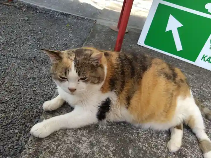 賀茂別雷神社(栃木県)