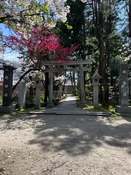 真清田神社(愛知県)