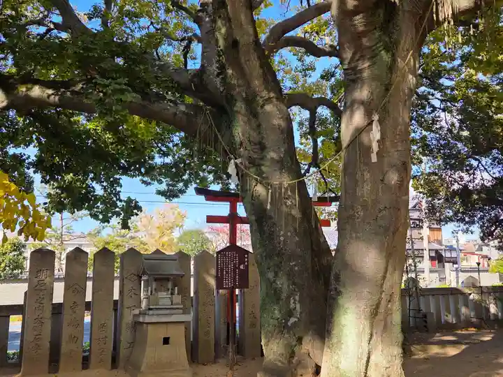 岩屋神社(兵庫県)