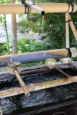 達磨寺(群馬県)