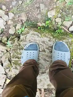 満願寺の{uncategorized: "未分類", other: "その他", undefined: "問題あり", building: "その他建物", grave: "お墓", sacred_gate: "鳥居", guardian: "狛犬", statue: "像", buddha: "仏像", history: "歴史", nature: "自然", garden: "庭園", animal: "動物", pagoda: "塔", temizu: "手水舎", mountain_gate: "山門・神門", sanctuary: "本殿・本堂", subordinate: "末社・摂社", art: "芸術", scenery: "景色", jizo: "地蔵", ema: "絵馬", goshuin: "御朱印", omikuji: "おみくじ", items: "授与品その他", amulet: "お守り", goshuincho: "御朱印帳", eats: "食事", festival: "お祭り", votive_dance: "神楽", shichigosan: "七五三参", wedding: "結婚式", experience: "体験その他", initially: "初詣", around: "周辺", anti_infection: "感染症対策"}
