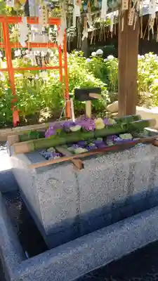 白山神社の手水舎