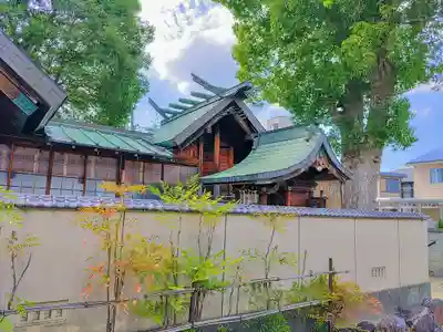 神明社・八幡社合殿(中杉町)の本殿・本堂