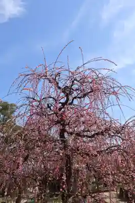 防府天満宮(山口県)