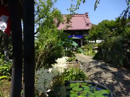 常泉寺の建物その他