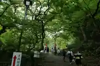 天開稲荷社の自然