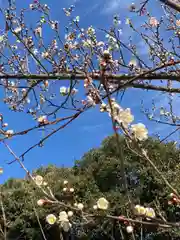 鹿嶋神社の自然