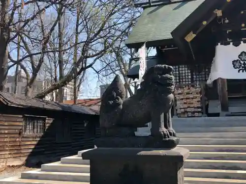 札幌諏訪神社の狛犬