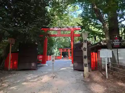 河合神社（鴨川合坐小社宅神社）(京都府)