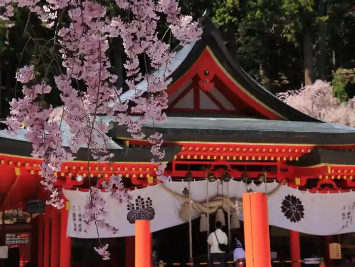金櫻神社の{uncategorized: "未分類", other: "その他", undefined: "問題あり", building: "その他建物", grave: "お墓", sacred_gate: "鳥居", guardian: "狛犬", statue: "像", buddha: "仏像", history: "歴史", nature: "自然", garden: "庭園", animal: "動物", pagoda: "塔", temizu: "手水舎", mountain_gate: "山門・神門", sanctuary: "本殿・本堂", subordinate: "末社・摂社", art: "芸術", scenery: "景色", jizo: "地蔵", ema: "絵馬", goshuin: "御朱印", omikuji: "おみくじ", items: "授与品その他", amulet: "お守り", goshuincho: "御朱印帳", eats: "食事", festival: "お祭り", votive_dance: "神楽", shichigosan: "七五三参", wedding: "結婚式", experience: "体験その他", initially: "初詣", around: "周辺", anti_infection: "感染症対策"}