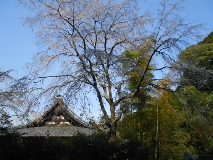 安國論寺(安国論寺)の景色