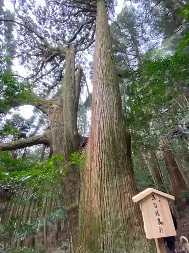 幣立神宮(熊本県)
