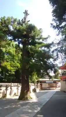 石清水八幡宮のその他建物