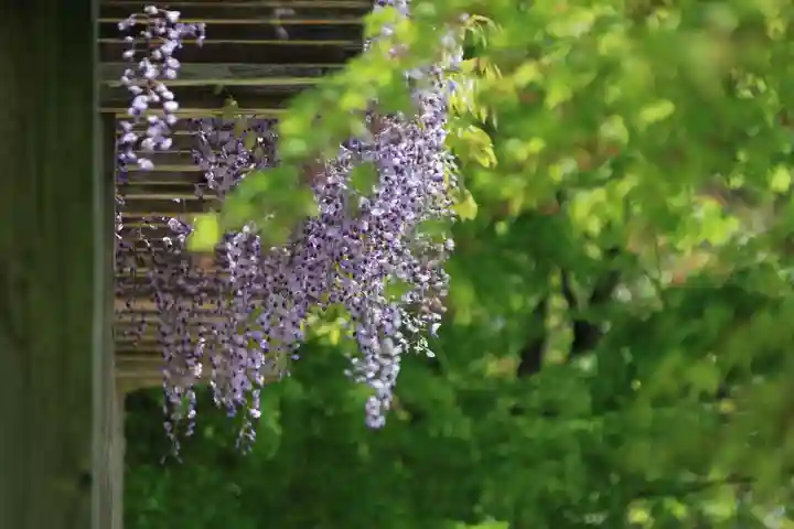 滑川神社 - 仕事と子どもの守り神の自然