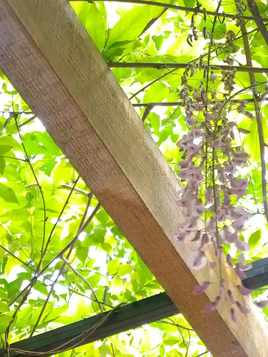 阿智神社の自然