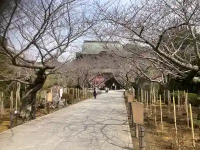 建長寺(神奈川県)