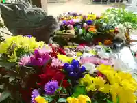 滑川神社 - 仕事と子どもの守り神の手水舎