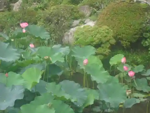 光明寺の庭園