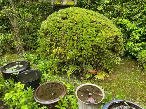 覚円院(京都府)