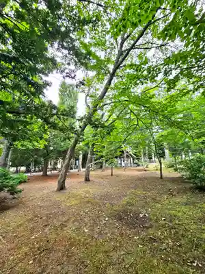 美幌神社(北海道)