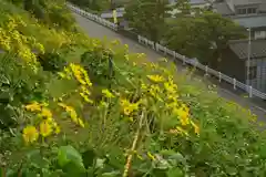 白山媛神社(新潟県)