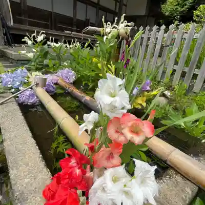 二尊院(京都府)