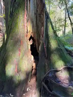 戸隠神社奥社(長野県)